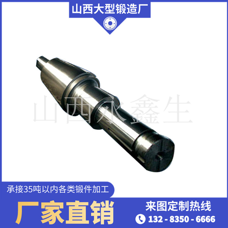 枢轴锻件